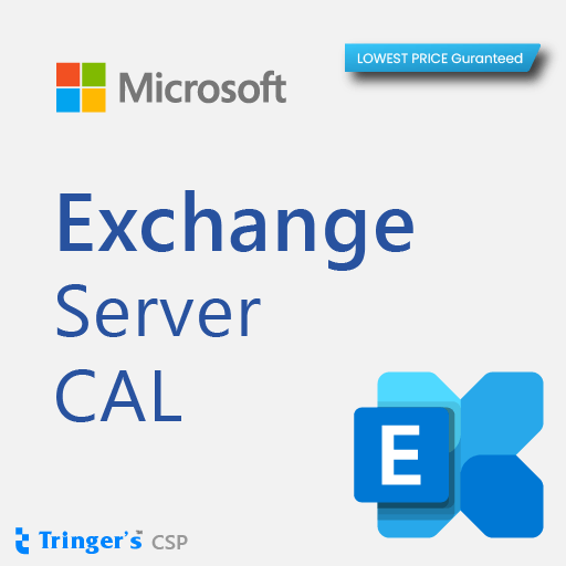 Exchange Standard CAL SLng SA OLV NL 3Y Aq Y1 AP User CAL