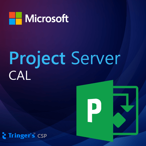 Project Server CAL SLng LSA OLV NL 1Y Aq Y2 AP User CAL