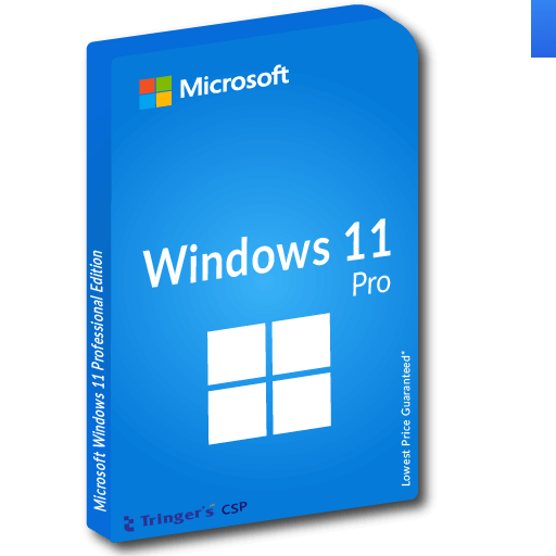 Windows 11 Pro