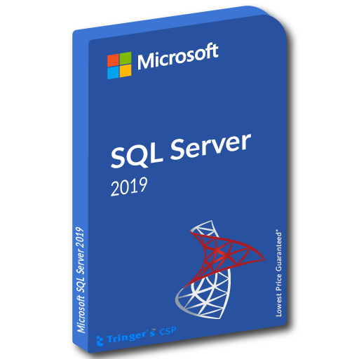 SQL Server 2019 - 1 User CAL
